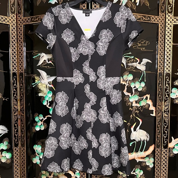 Metaphor Black Fit and Flare Dress with White Floral Design - Picture 2 of 5